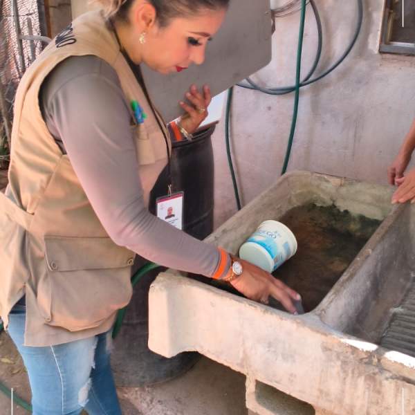 Llama Salud Sonora a reforzar medidas preventivas contra el dengue tras las lluvias